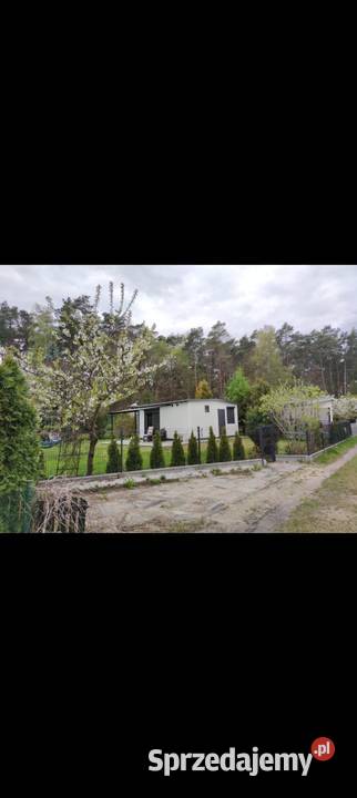 Sprzedam działkę ROD jeziorem Borówno Sprzedaż Nieruchomości