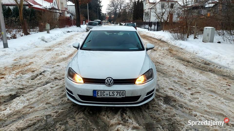 100 Bezwypadkowy Oryginalny lakier Nowy Puławy