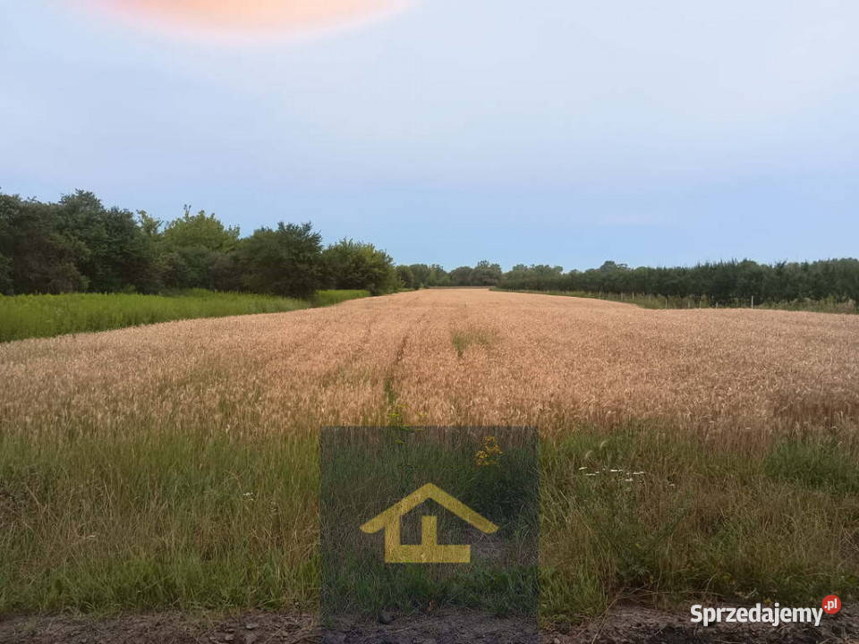 Działka w Nadbrzeżu