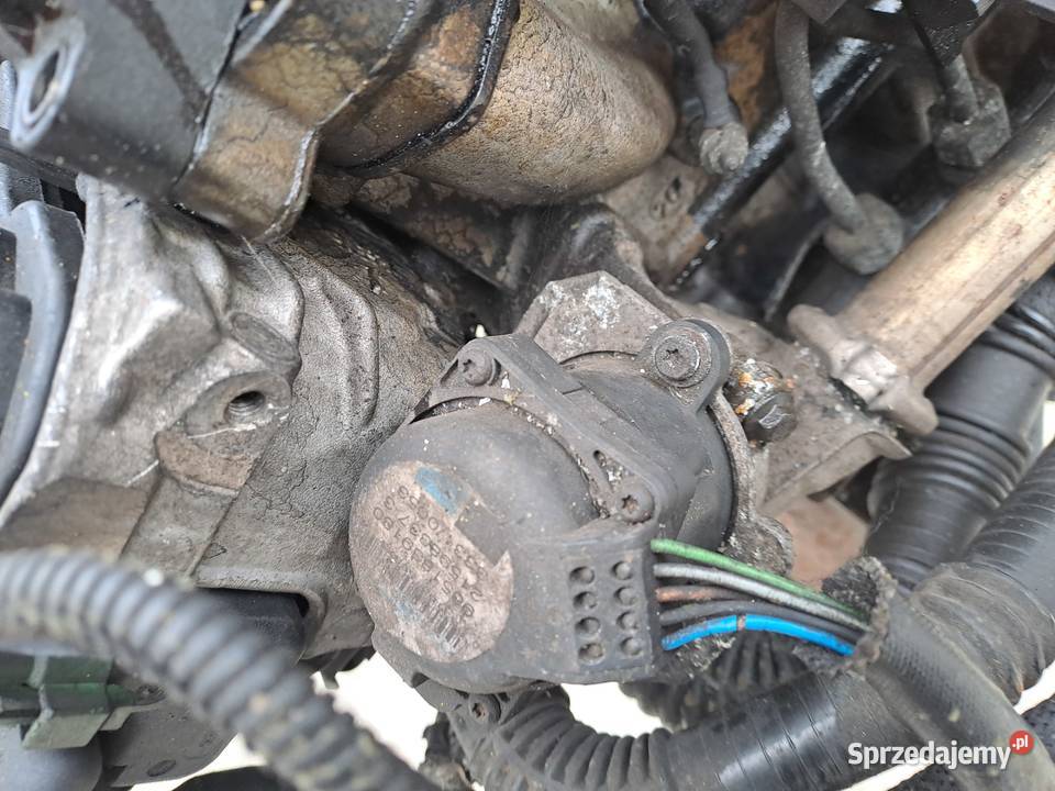 Ford Fokus MK2 16 TDCi 109 silnik kompletny kod śląskie Jastrzębie-Zdrój