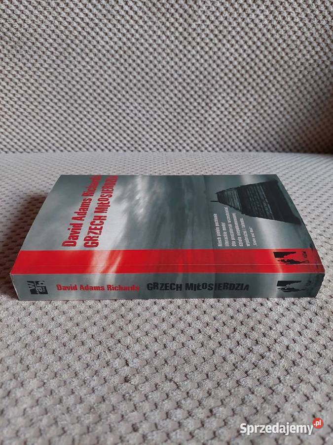 Grzech miłosierdzia David Adams Richards ISBN 8374140747 Kraków sprzedam
