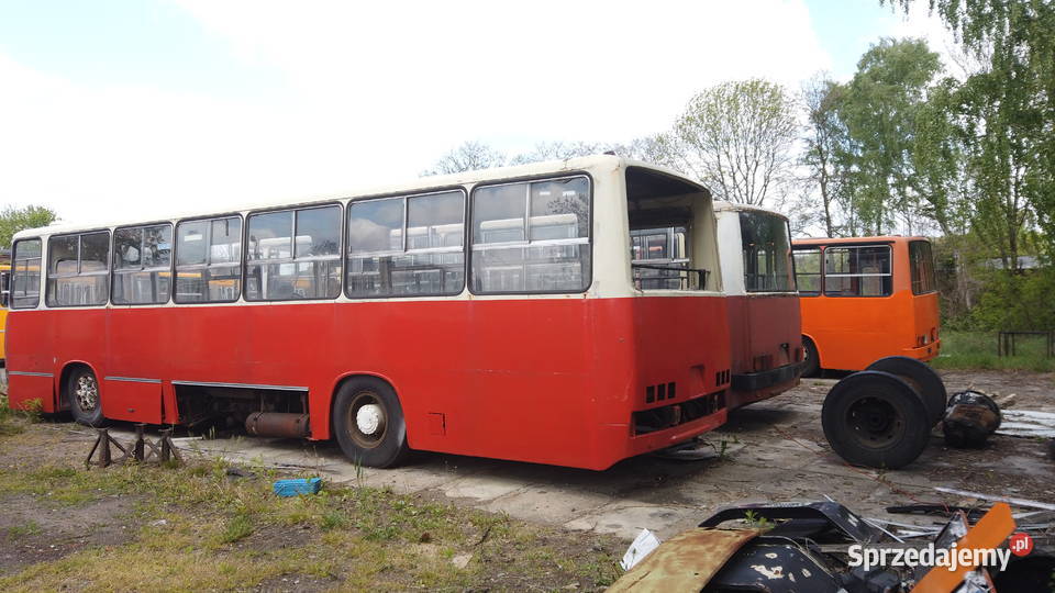 syndyk sprzeda autobus Ikarus