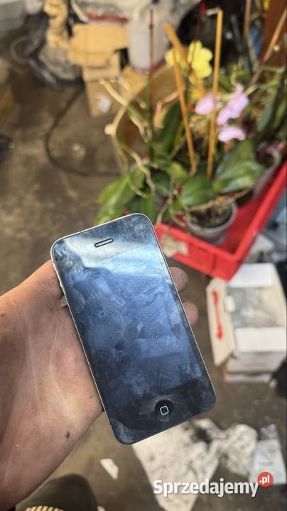 iphone 4s Apple / iPhone Jasień