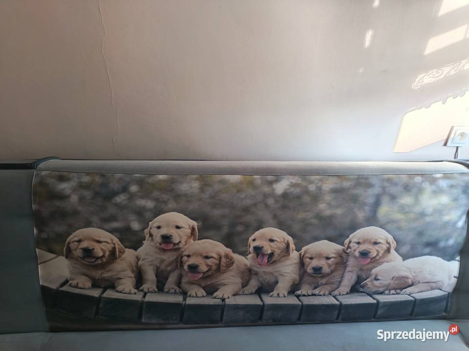 stan Pozostałe Inowrocław