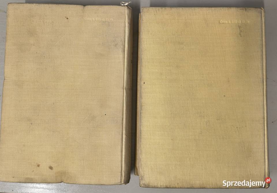 Don Kichote z Manczy Miguel de Cervantes śląskie Sosnowiec