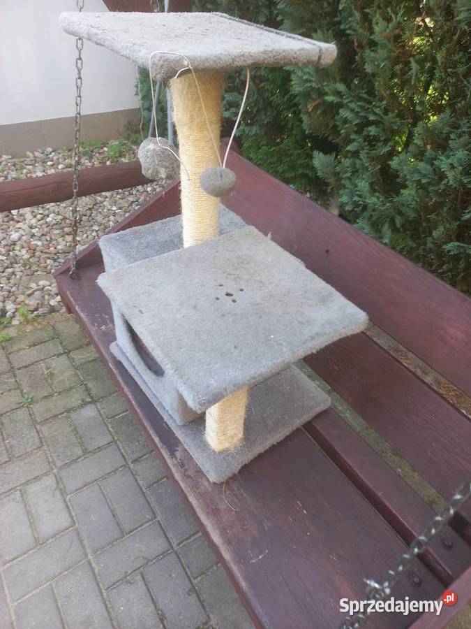 Drapak kota Dla kotów Lipno
