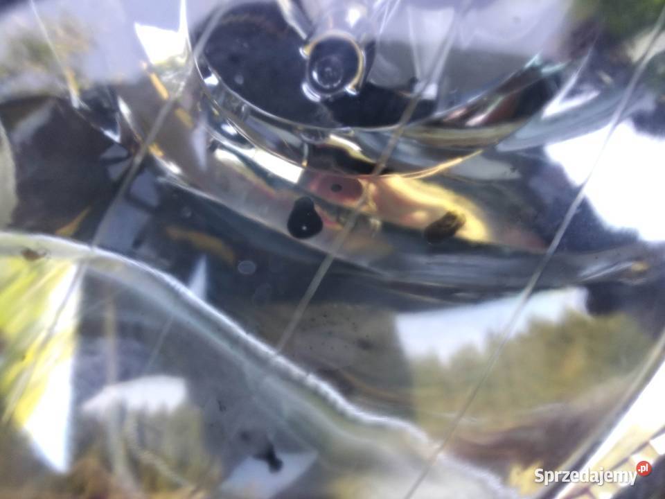 Mercedes C Sport Coupe lampy przednie reflektory