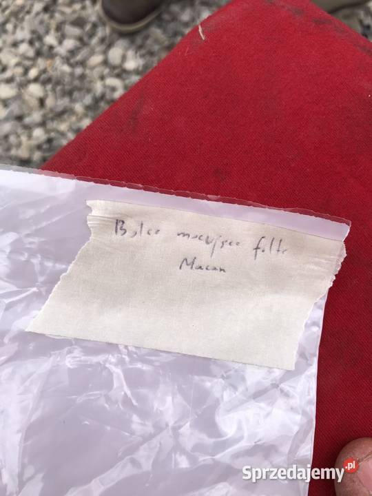 Bolce mocujące filtr Porsche Macan 95511026900 Kraśnik