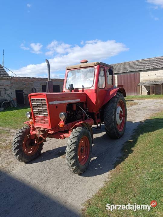 MTZ 50 Belarus Belarus Wyrzysk sprzedam