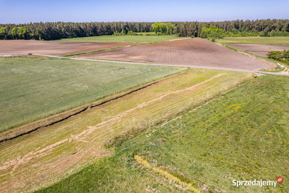 Działka 825m2 Parszczyce Łąkowa asfalt Sprzedaż