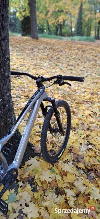 Dartmoot hornet pro podlaskie Białystok