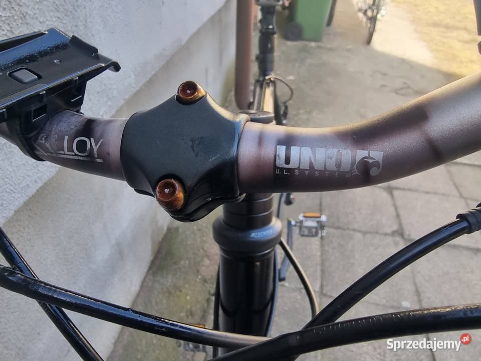 Rower treningowy LiBike Dębno