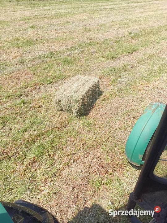 Siano w kostkach snopkach 2025 pachnące