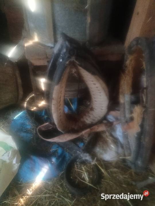 Homonto używane Szufnarowa