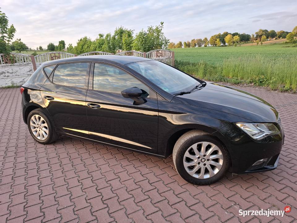 Seat Leon 14125Serwis ASONawiBezwypadek 100 Pawłów