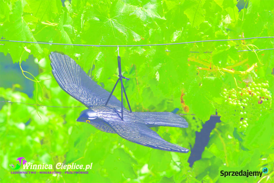 Siatka ochronna 100x250mb pko ptakom Lwówek Śląski