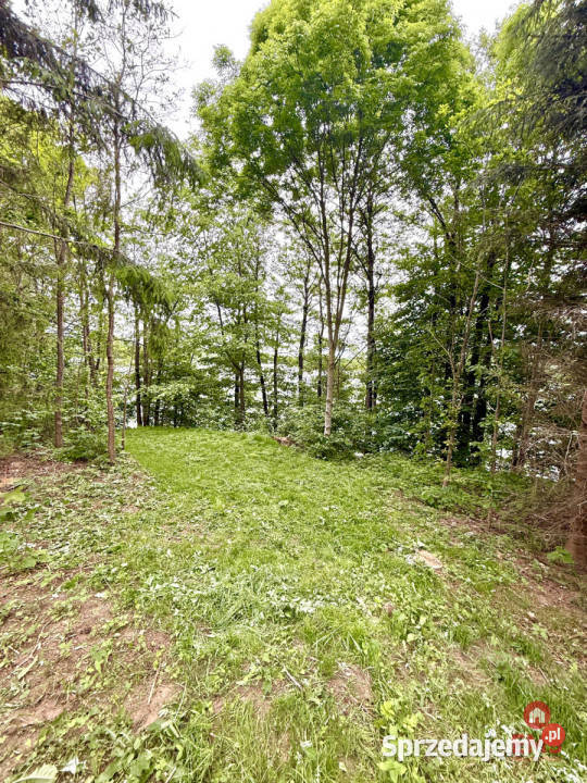 sprzedaży gruntu 3128m2 Błaskowizna