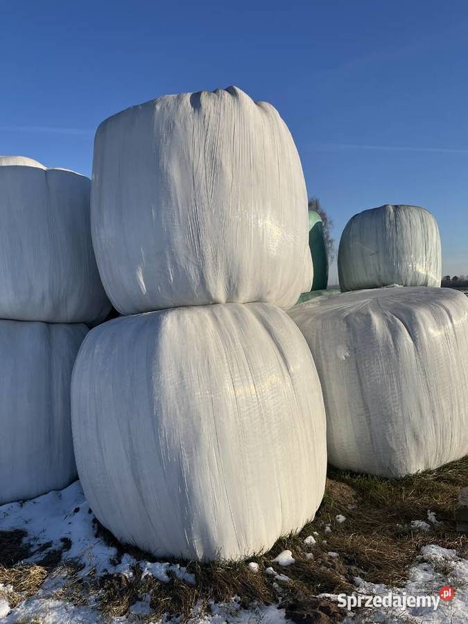 Sianokiszonka wielkopolskie Doruchów