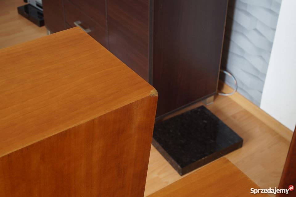 Kolumny Stereo Audio Physic Tempo Myślenice
