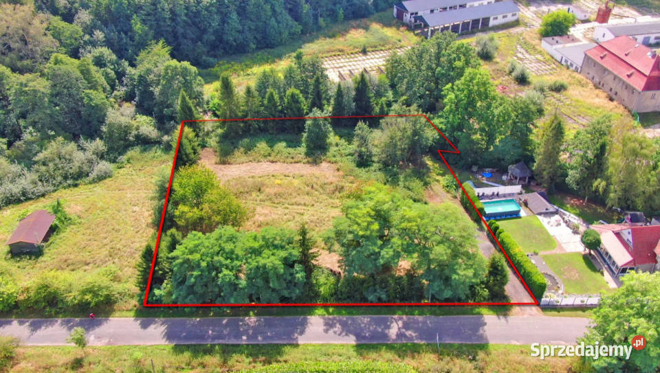 Działka 3701 m w Lwowianach WZ duży potencjał Lwowiany