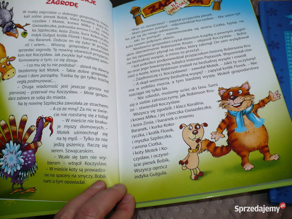 Książki dzieci 5 sztuk edukacja Lubin sprzedam
