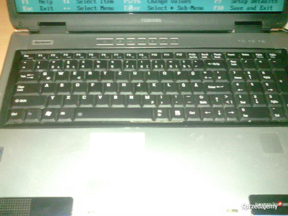 Toshiba Satellite P100