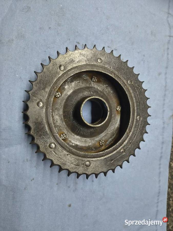 Zabierak zębatka tył WSK B1 WFM