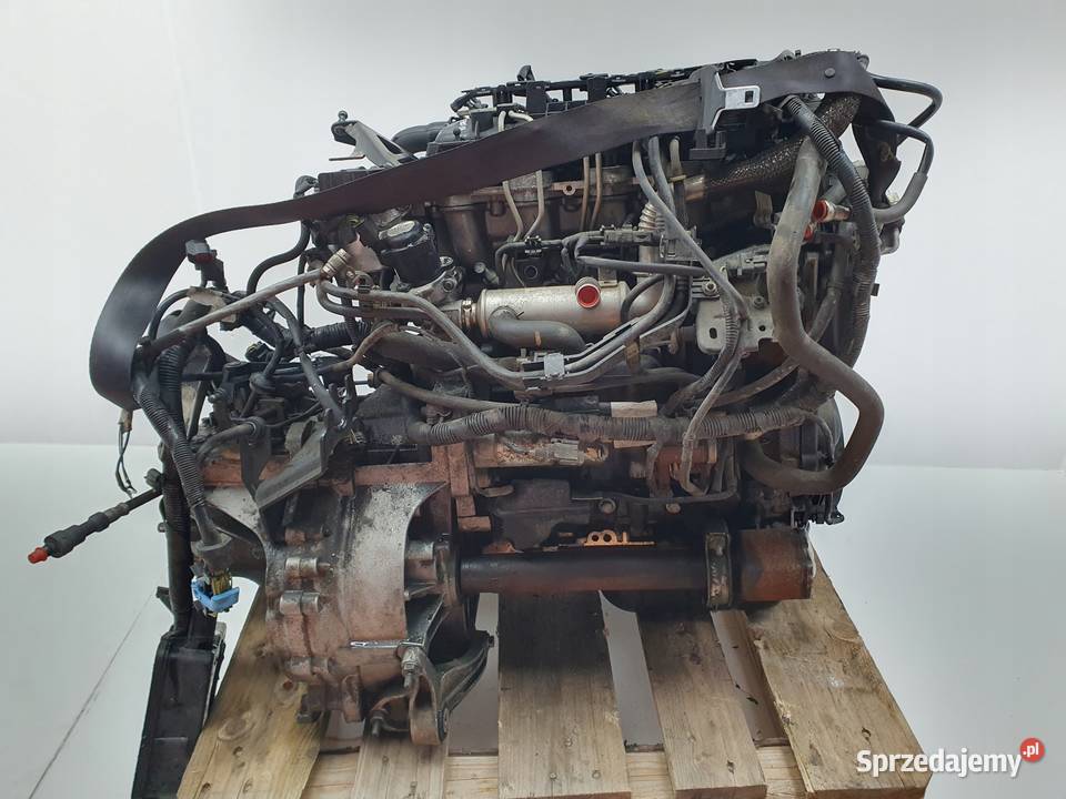 SILNIK KOMPLETNY Ford C C 16 TDCI 109 sprawny Silniki i osprzęt Rudka