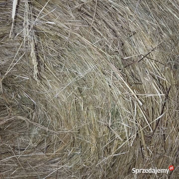 Siano ekologiczne jakości baloty transport Giżyn