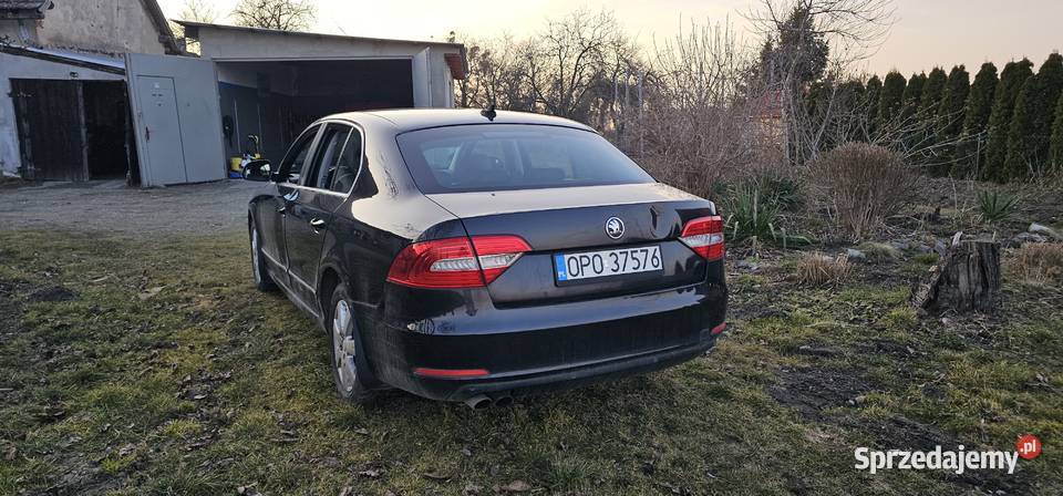 Skoda Superb 2 2014 uszkodzony Superb Niemodlin