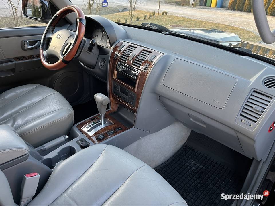 Hyunday Terracan 29 CRDI 44 Radoszyce