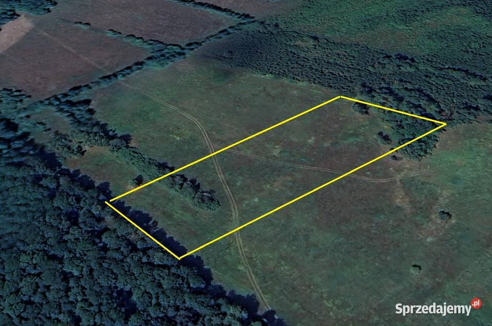 Działka łąka w pobliżu Białej Podlaskiej lubelskie