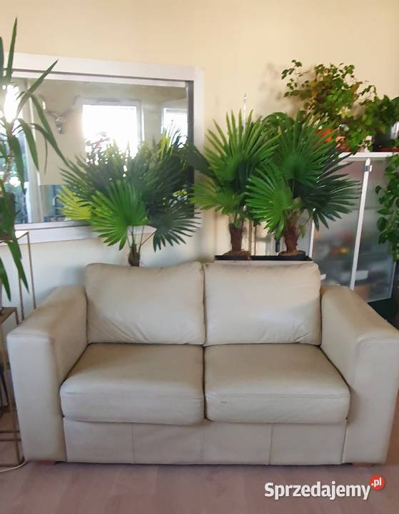 Kanapa sofa skórzana 167 b wygodna 350 Warszawa sprzedam
