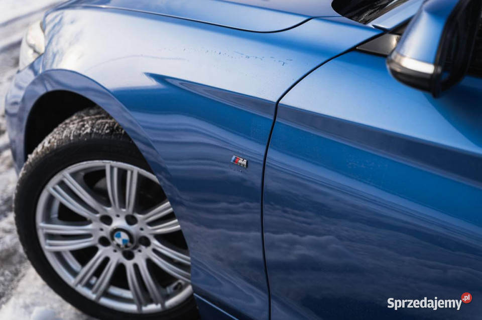 BMW 1 118i ESP Seria 1 śląskie