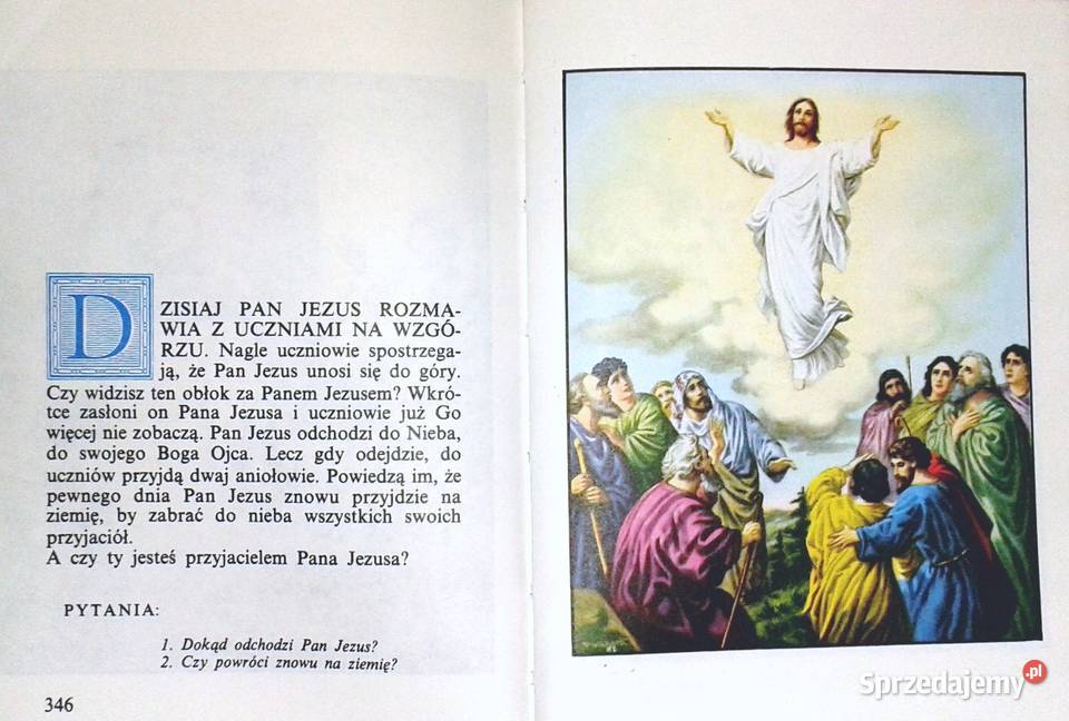 Biblia w obrazkach najmłodszych Kenneth N Taylor Chełm