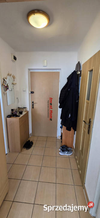 Mieszkanie 4219m2 2 pokoje Pszów