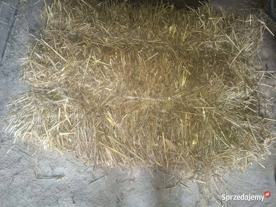 Sprzedam słomę Rożnów sprzedam