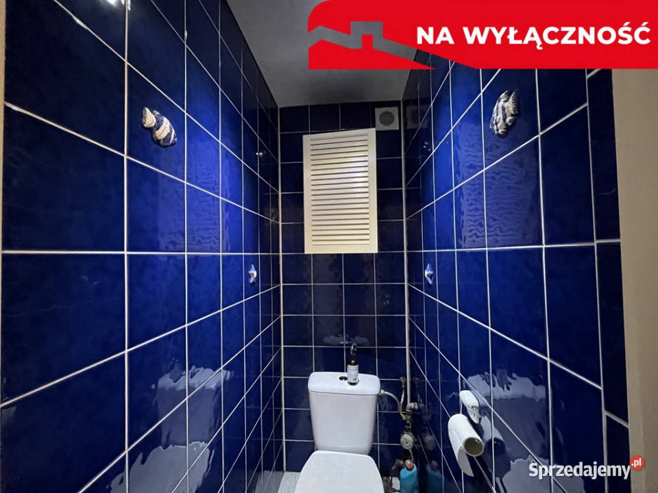 Dom 78 m2 na działce 1600 m2 w Kosowie gm Kowala mieszkalny