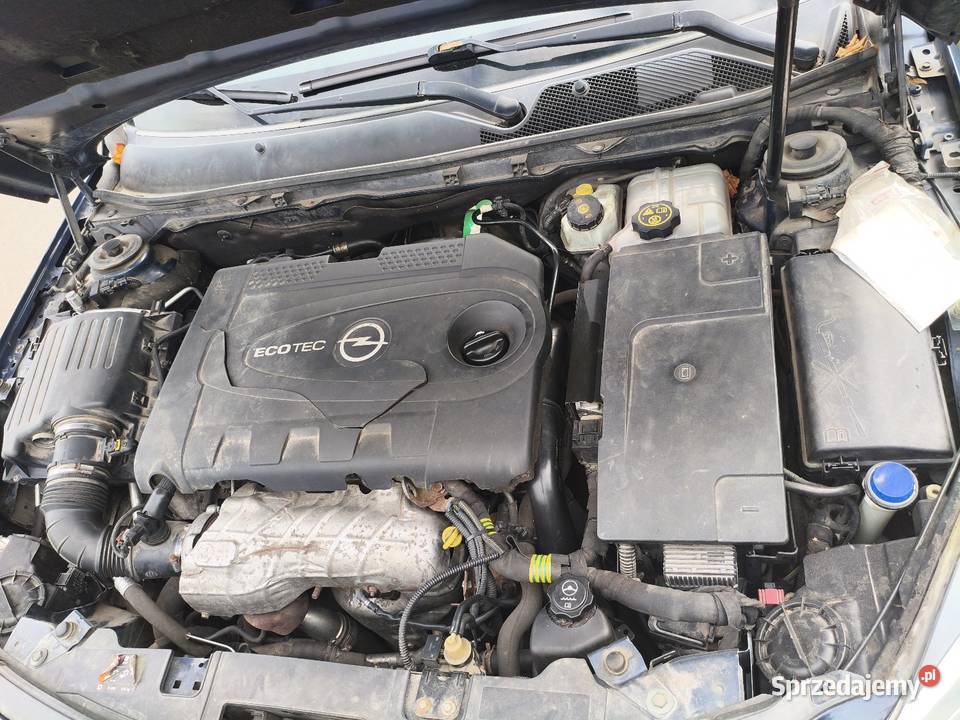 Opel Insignia A zachodniopomorskie