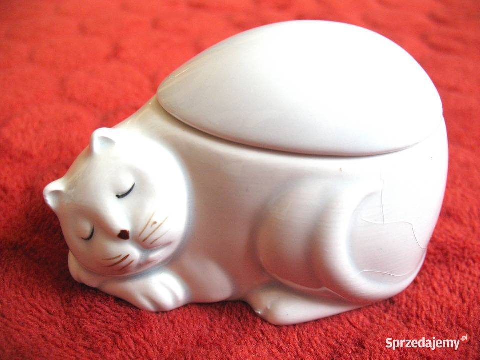 Kot mała szkatułka porcelana 5 x 8 x 5 Siedlce