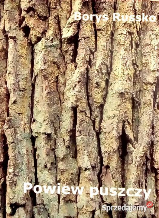417 Borys Russko Powiew puszczy P 21 Warka sprzedam