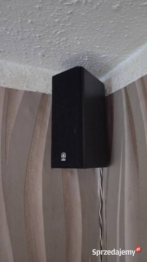 Głośniki Samsung Renaissance M1000 Yamaha NXE130 Elektronika