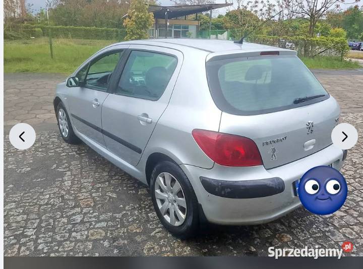 Peugeot 307 16 16v LPG klima oc i pt aktualne 1600cm3 307 wielkopolskie Śrem