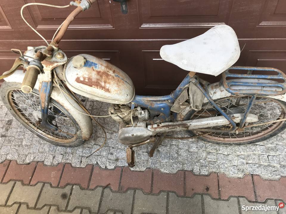 Komar sztywniak 2320 Marklowice