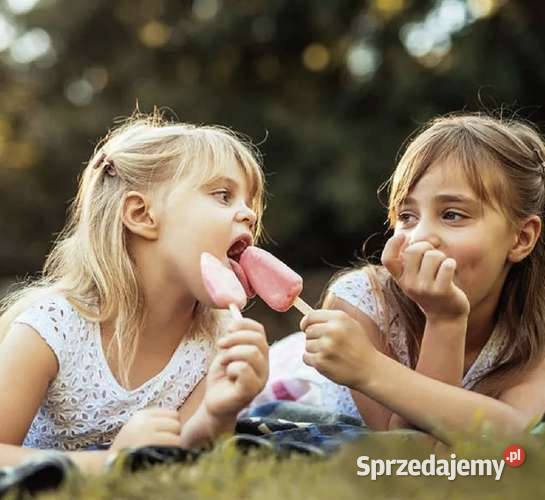 Forma silikonowa do lodów Ruhhy 20990 lubelskie Biała Podlaska