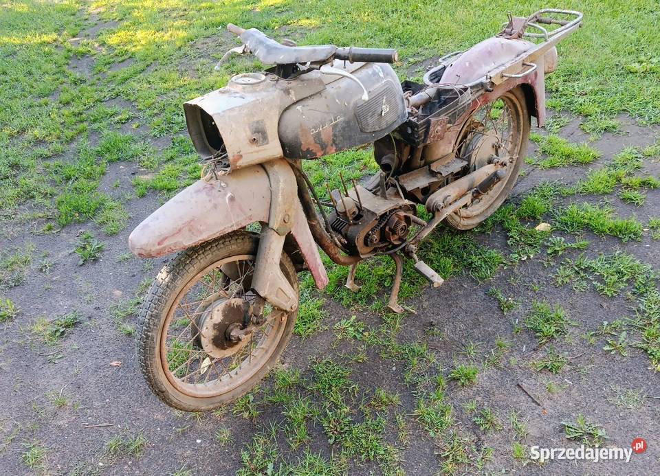 Gazela uszkodzony Wierzbinek sprzedam