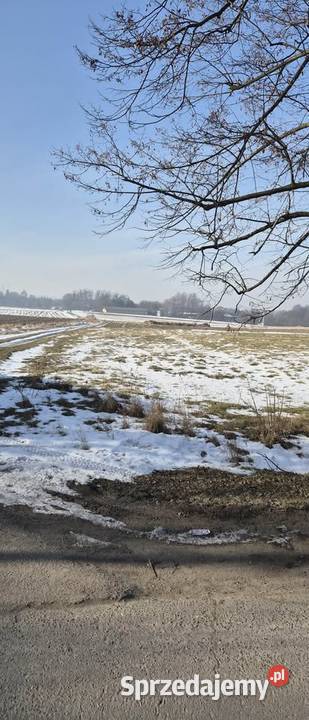 Działka Budowlana Mikołów 1922m2 1922m2