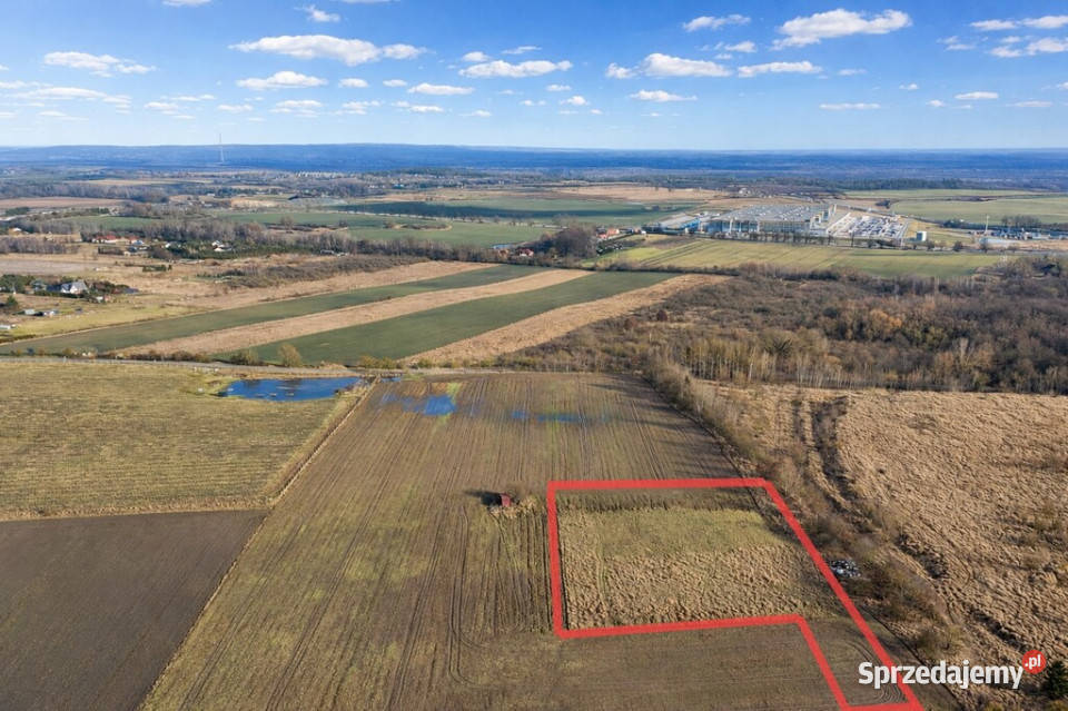Działka pod hale magazynowo produkcyjną Smolęcin