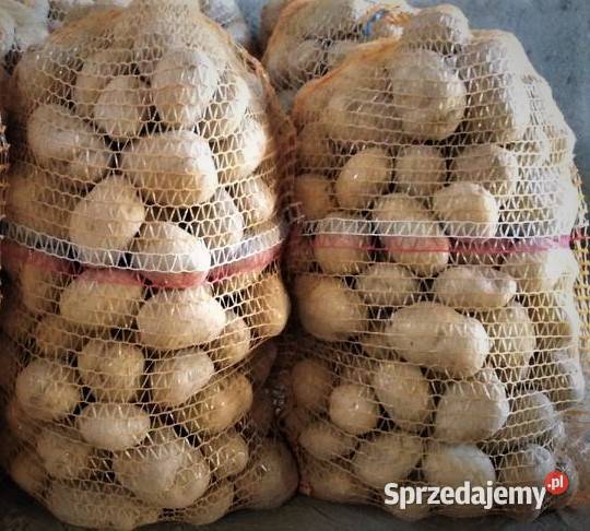 Ziemniaki jadalne Vineta Granowo