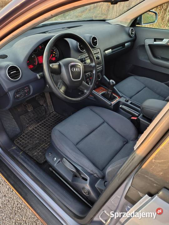 Audi A3 8p 1600cm3 Borucice